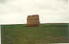 fo11.jpg (42163 bytes)